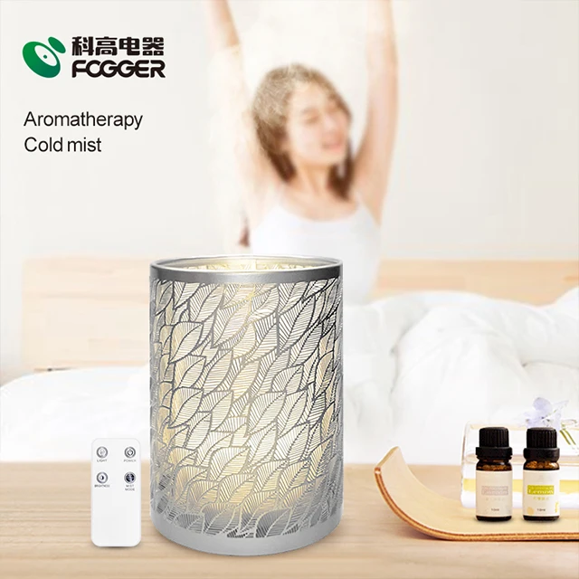 Genuine Iron Aromatherapy New Model 100Ml Essential Oil Aroma Diffuser Remote Control Cool Mist Personal Space Air Humidifier