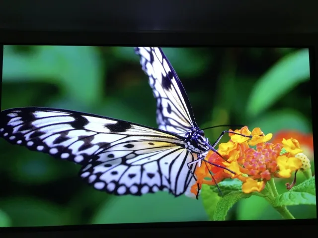 Telon 100 дюймовый Короткий Ультра-бросок 4K alr pet Кристальный лазерный проекционный экран с фиксированной рамкой проекционный экран для дома cicnema