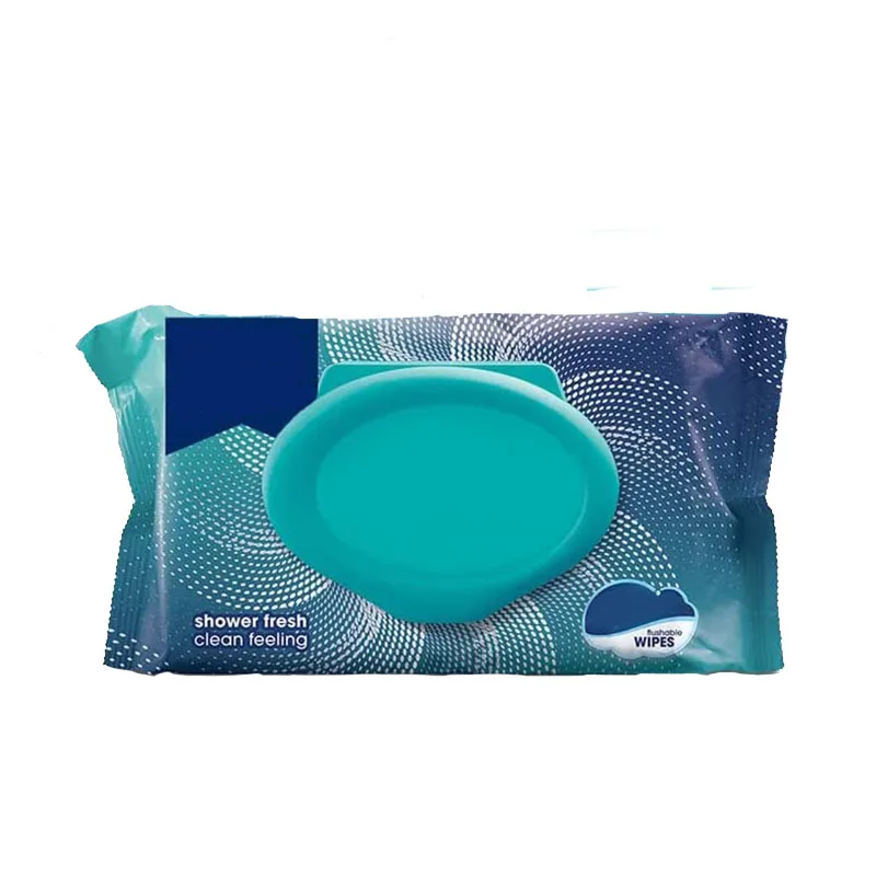 Wholesale New Daily Disposable Cleaning Flip Cover Wipes Clean Room Wipes With Logo