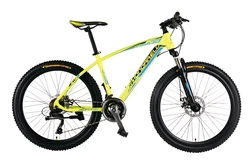 Best Affordable Fat Adult High Quality Best Cheap Women Mountain Bike Professional