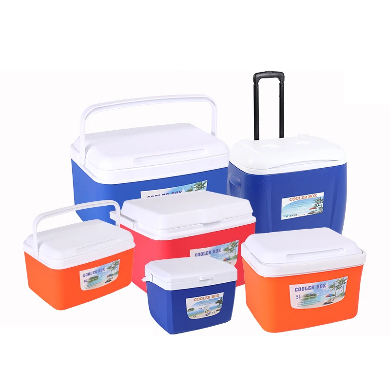 Insulated Cooler Box 8L Portable Outdoor Camping Picnic Ice Box Frozen Waterproof Storage Plastic Cooler Box