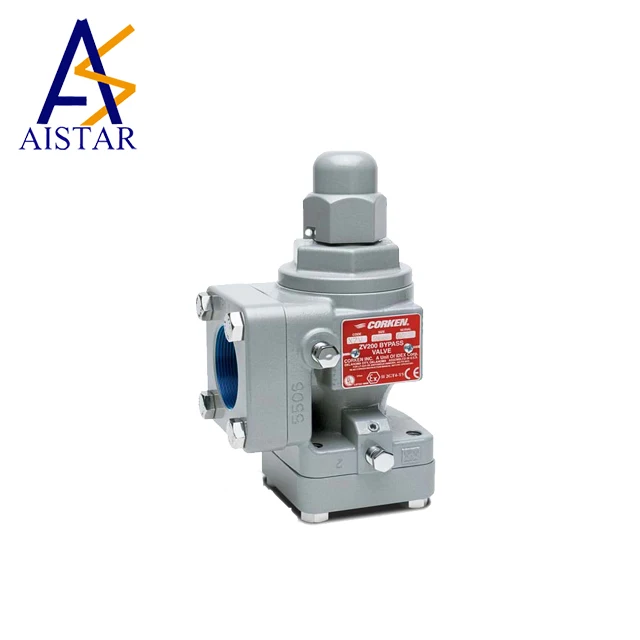 China OEM  DN 25 Bypass Valve For Lpg Station