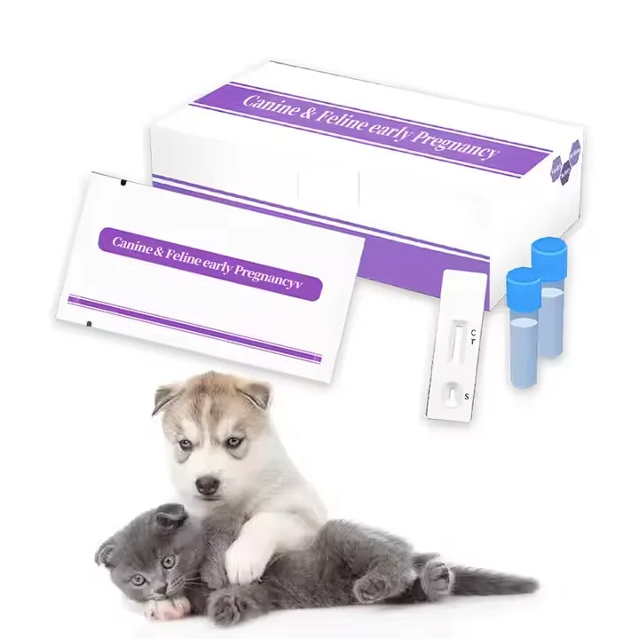 Factory Wholesale Rapid Test Kit Cat Dog Detection Canine Distemper CDV Feline Infectious Peritonitis Test Swimming Pools Animal