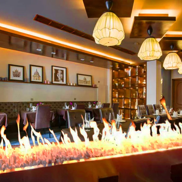 Natural gas, liquefied gas customized gas fireplace