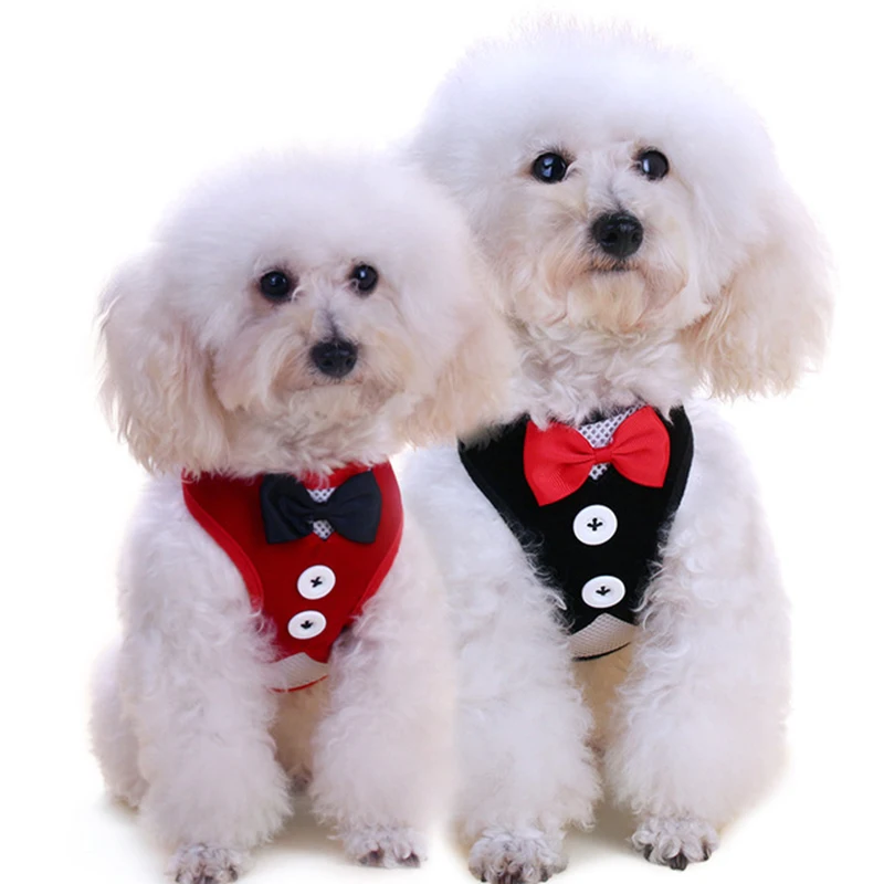 
Small Cute Set Logo England Style Pet Harness And Leash Dog Coats 