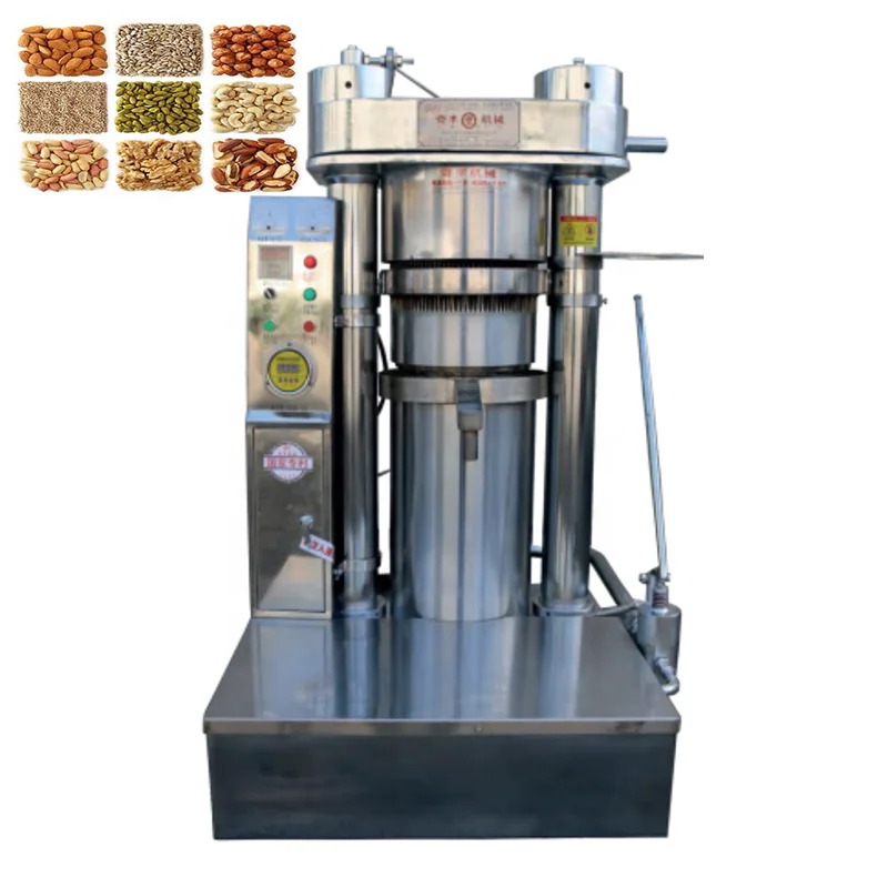 Palm Kernel Castor Avocado Moringa Seed Sunflower Cold Oil Press Machine Commercial small coconut oil extraction machine sale