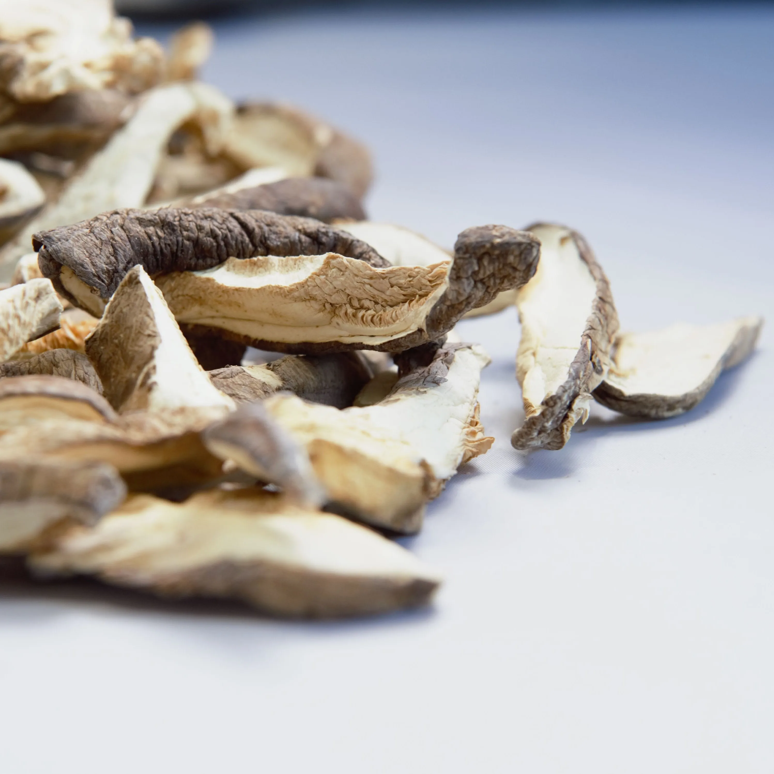 Высококачественные Свежие Кусочки сушеных грибов Shiitake