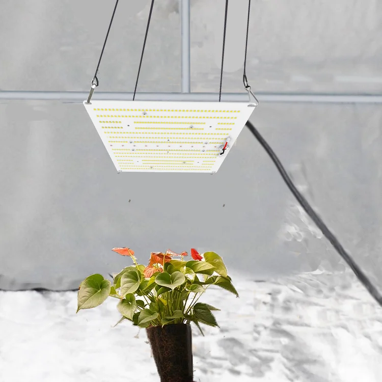 
Best Daisy Chain Quantum Lm301b Hemp LED Grow Light For Sale 