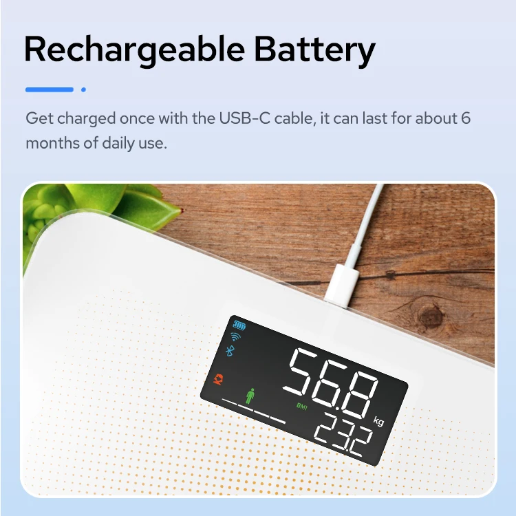 TRANSTEK Cheap Rechargeable Smart Scale for Human Body Composition Fat Scale Bluetooth Digital Body Weigh BMI Scale