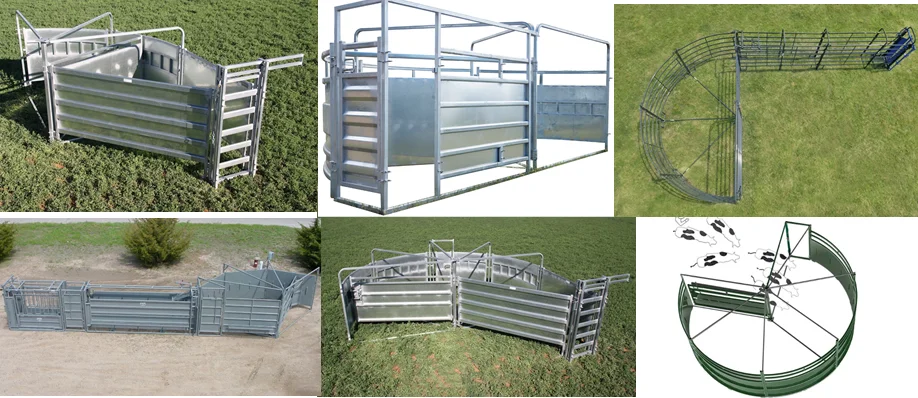 Galvanized Steel Livestock Crowding Tubs Semi-Circular Forcing Yard System For Livestock Management