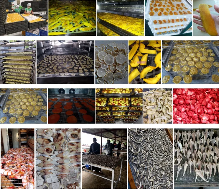 Industrial Cabinet dryer fruit Dryer leech Drying machine  heat pump dryer factory whole sale price industry commercial price