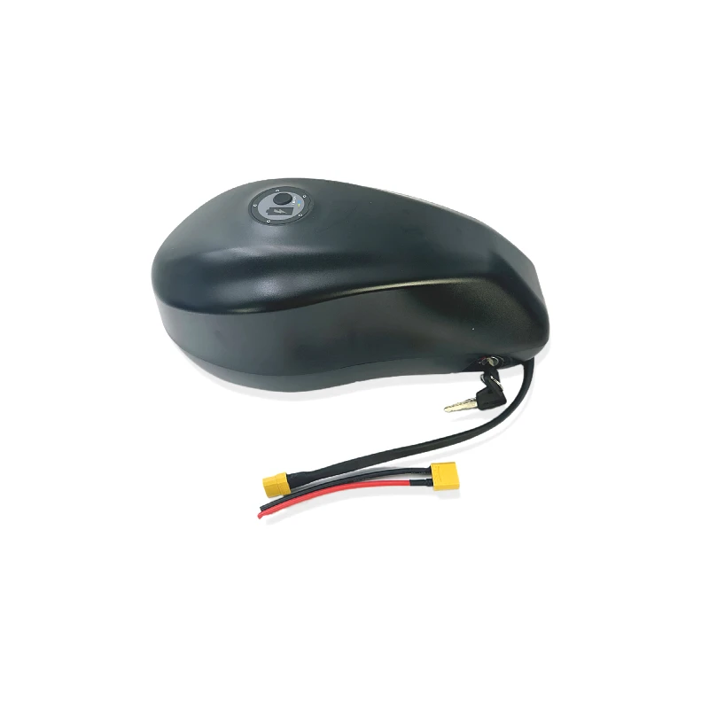 Hot Sale e bike battery 48v 52v Lithium Ion Battery for ebike