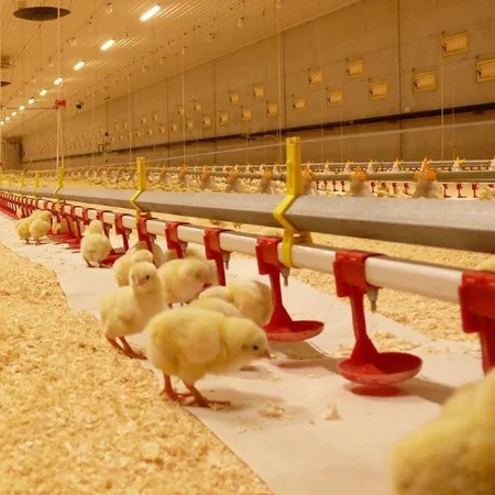 Птица поилки животных автоматическая система полива для бройлеров и пород куриных ферм