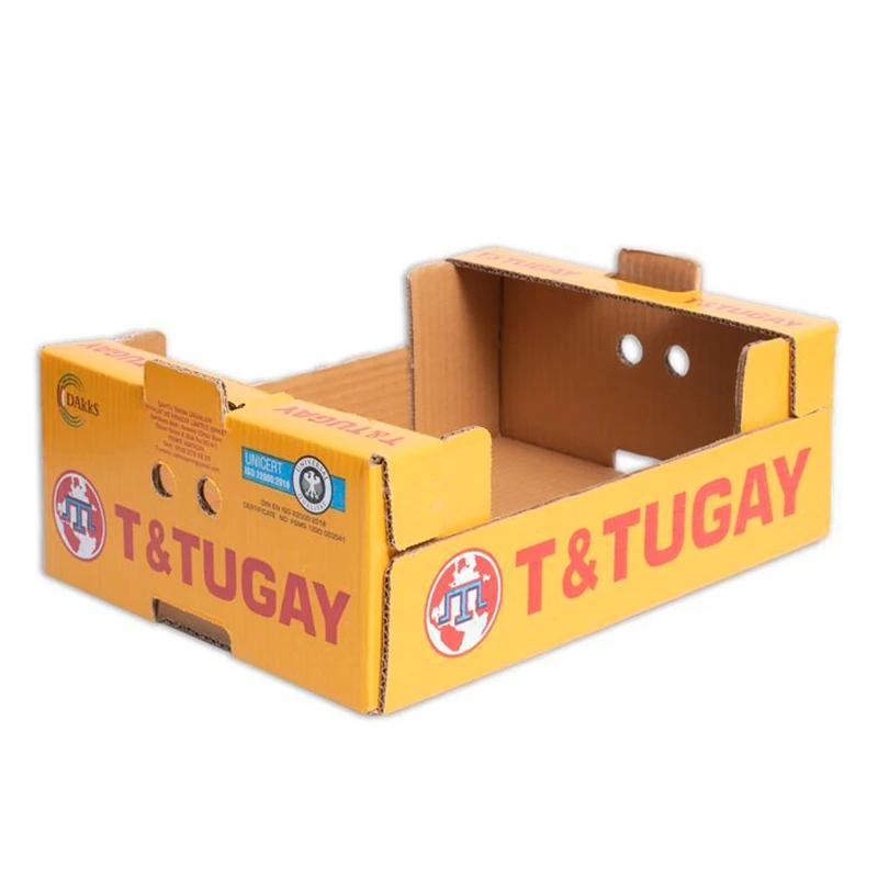 Custom Color Corrugated Folding Cherry Tomato Avocado Mango Banana Kiwi Dragon Fruit Carton Box