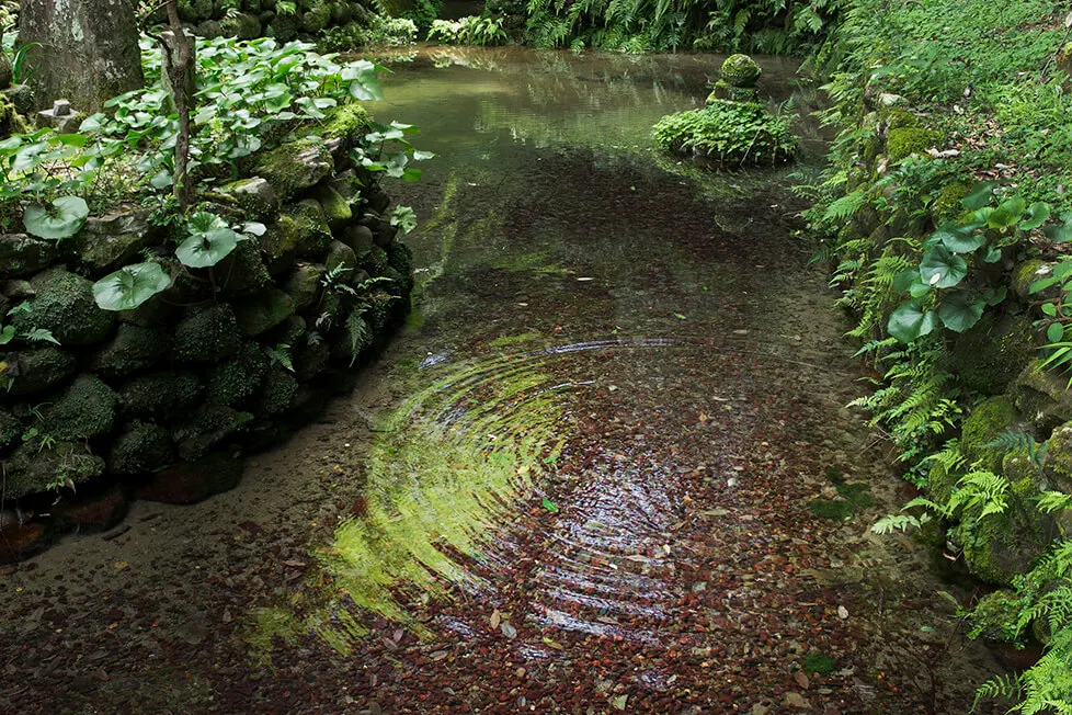 Оптовая продажа японских популярных винных товаров бокалов для вина оптом