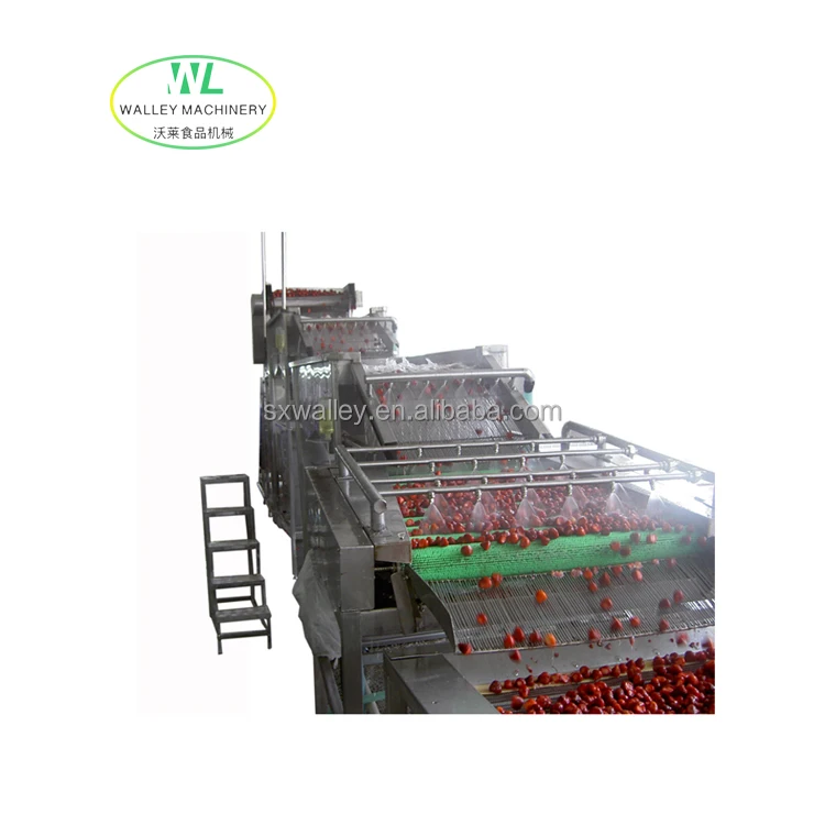 China Riffle Washing Machine Washer for Raisins