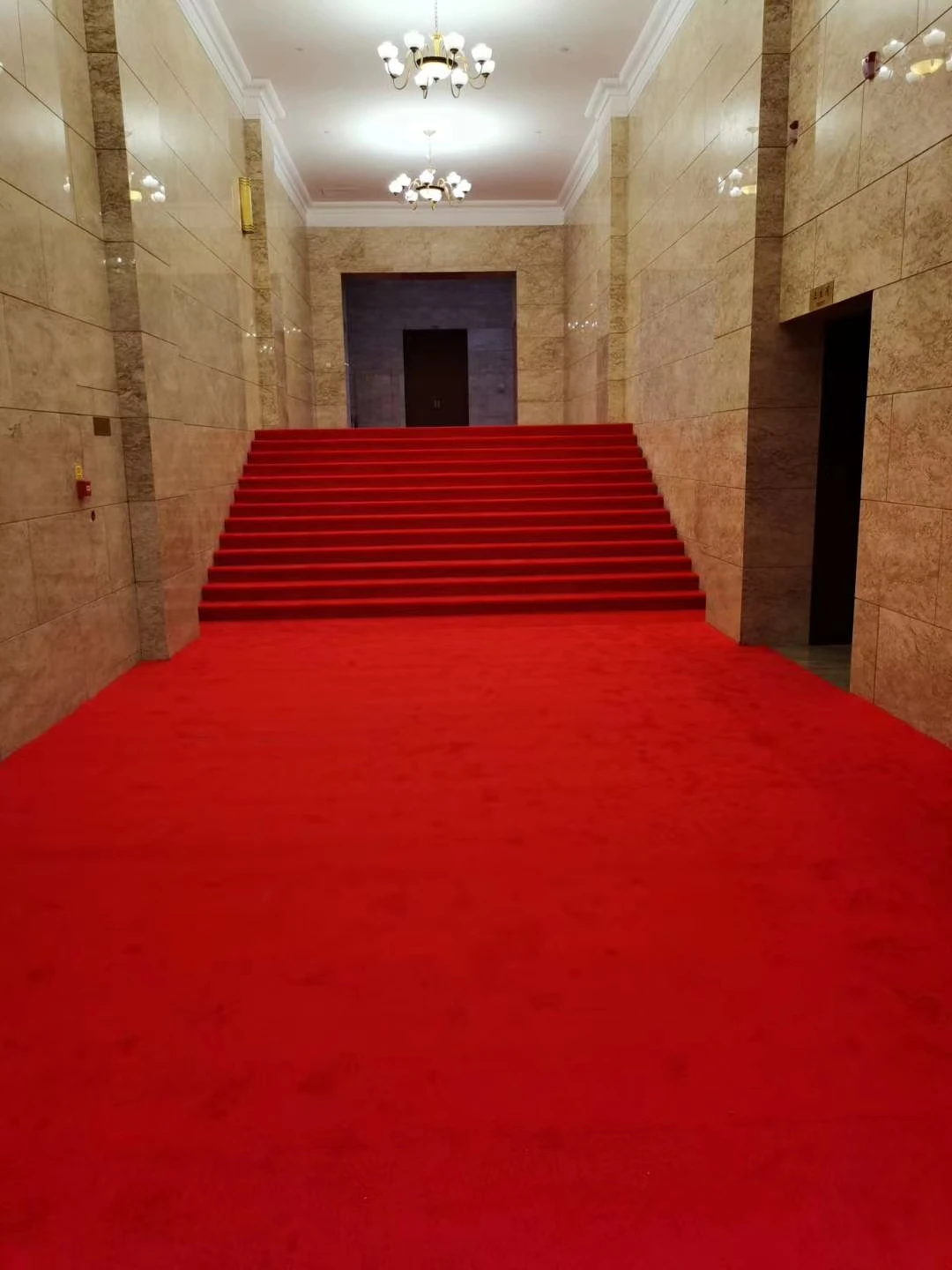 High quality wedding with 3d frowers pronted roll christmas 140x220 large area red carpet for events