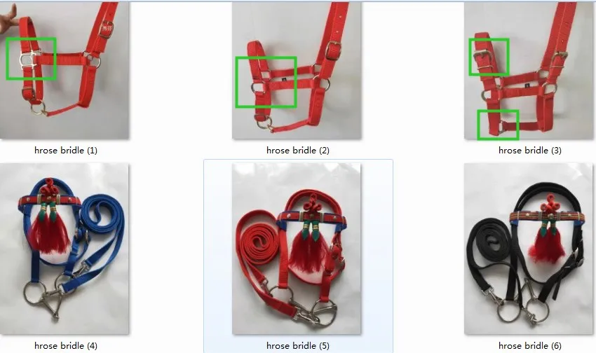horse halters