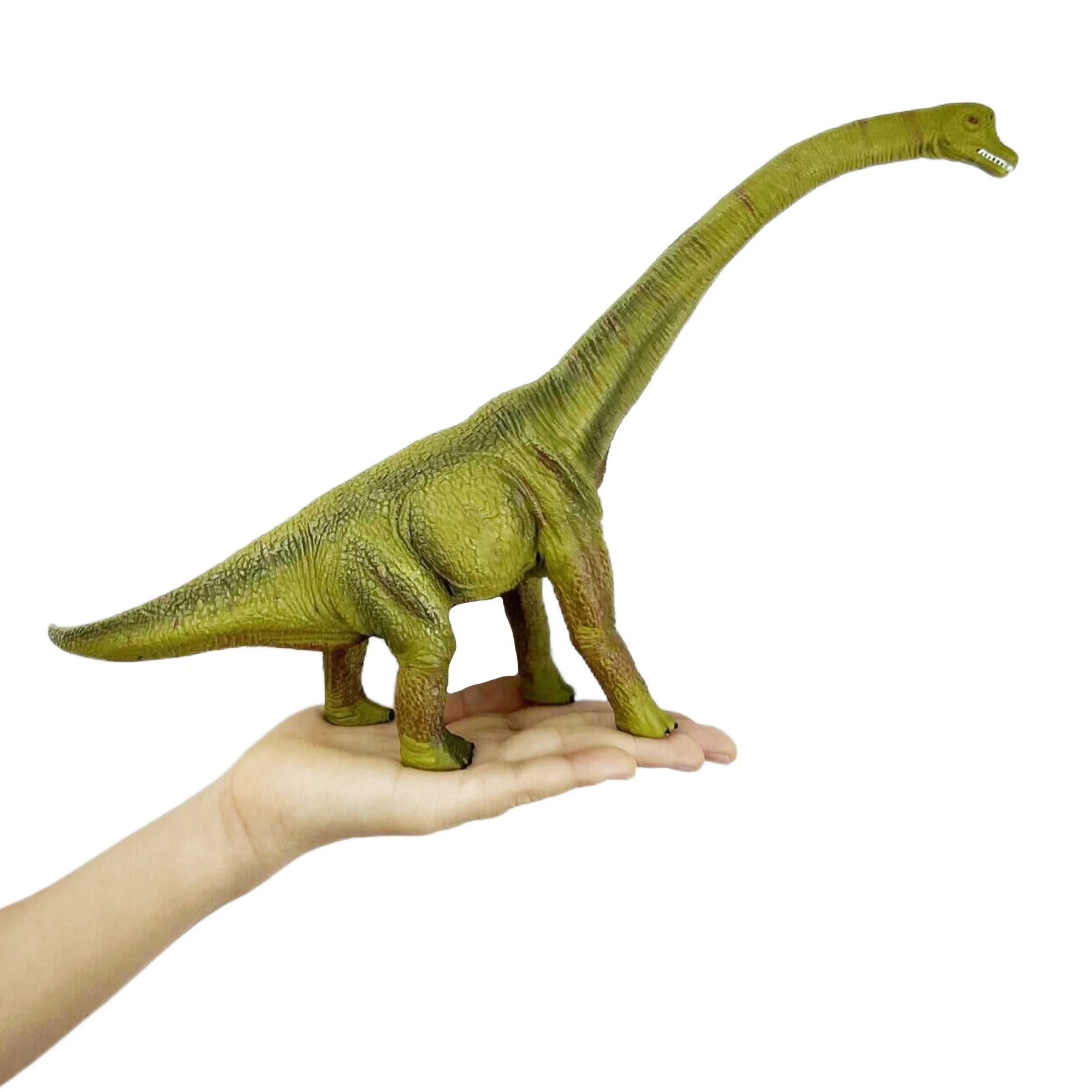 Animal Toys Dinosaur Figures Toys Realistic Dino Action Figure, Brachiosaurus  Green  Plastic Toys, Educational Play