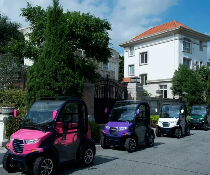 mini car 2 seats with high quality electric kit closed mini electric car