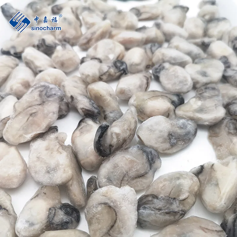 Seafood Oysters Meat Without Shell Whole Frozen Oyster Meat