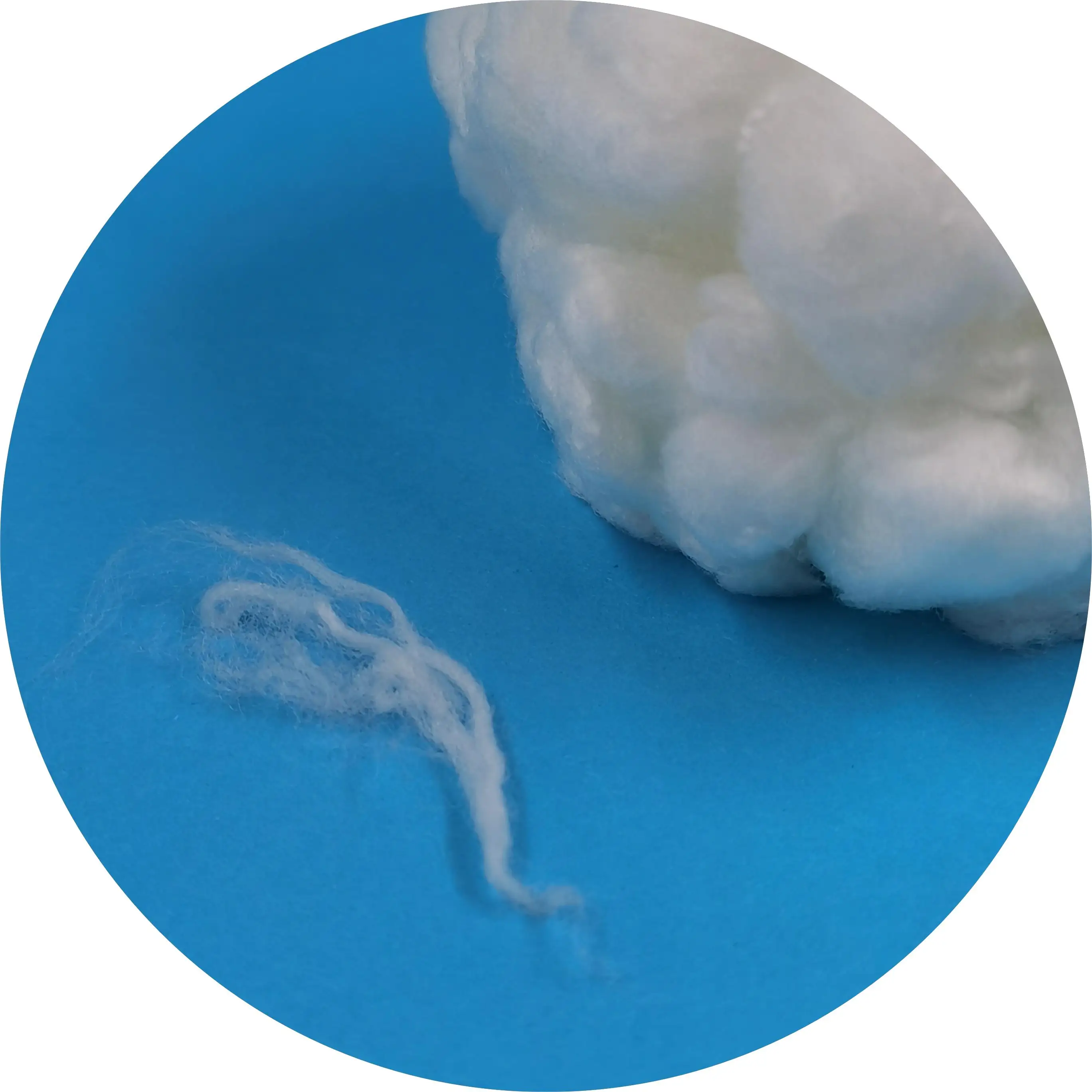 PCM Phase Change PE/PP Based Bico Staple Fiber for Spinning