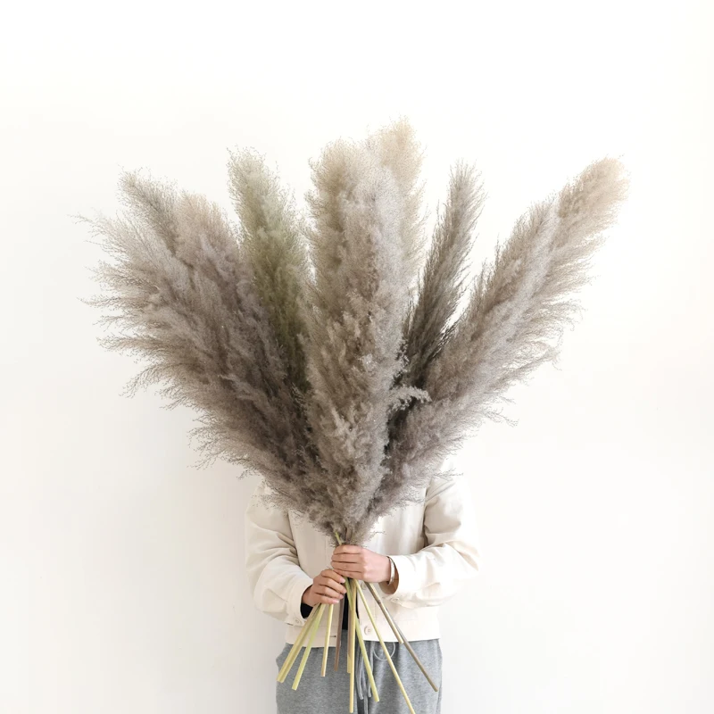 2021 Yunnan Hot-selling Long Flower Head Dried Grey Pampas Grass For Wedding Decoration