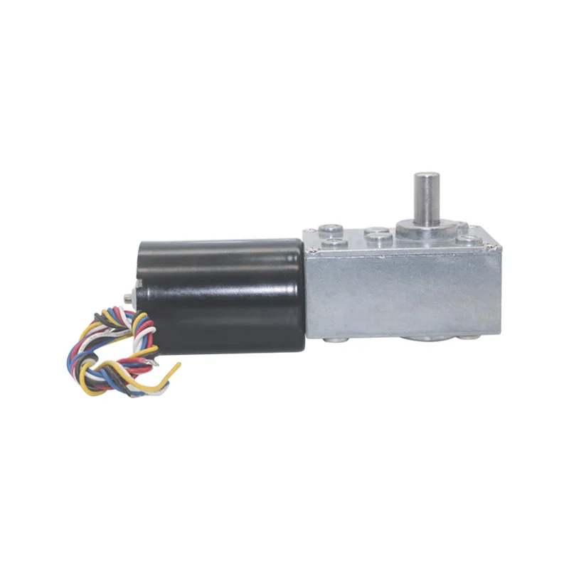 5840-31ZY 12V 24v 5rpm 70 kgcm dc motor Low Noise Large Torque reducer gear box motor  small vibrating motors Small Appliance