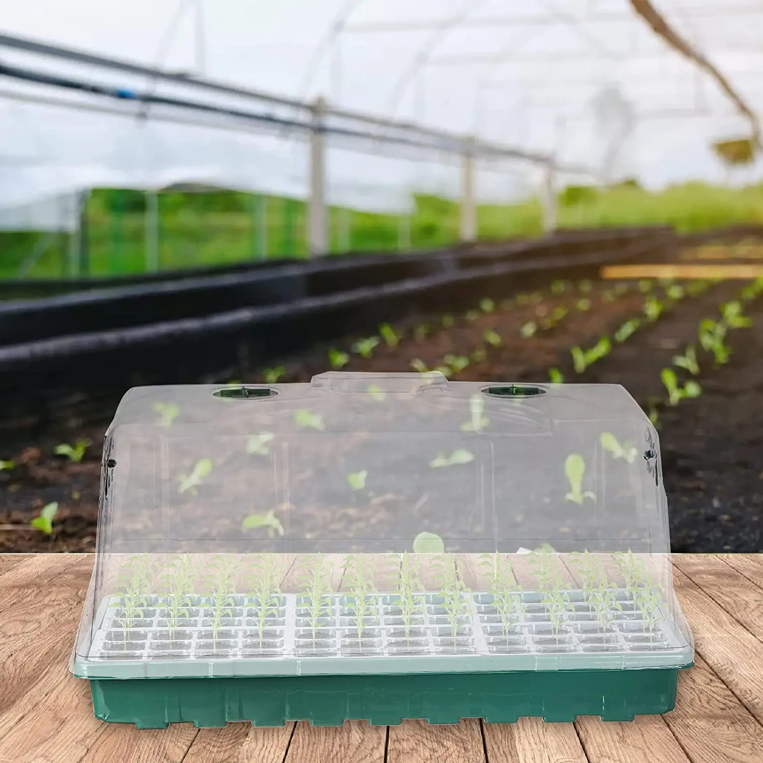 Seed Starter Tray with Humidity Dome and Base, 144 Cells Adjustable Seedling Nursery Clone Tray, Garden Propagator