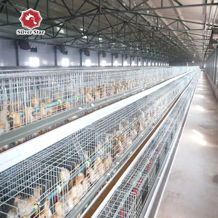 Automatic nipple drinker chicken broiler cage broiler battery cage for growing baby chicks