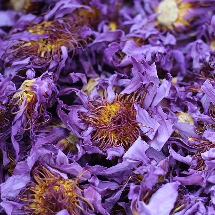 Factory Price Hot Sale China Wild Dried Blue Lotus For Tea