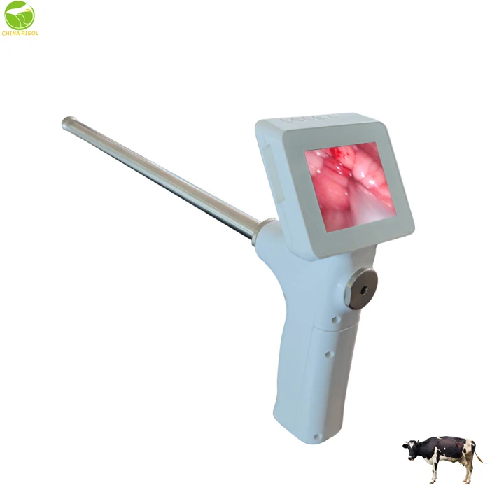 Visual artificial Insemination Gun for Sheep Goat  Animal products in farm