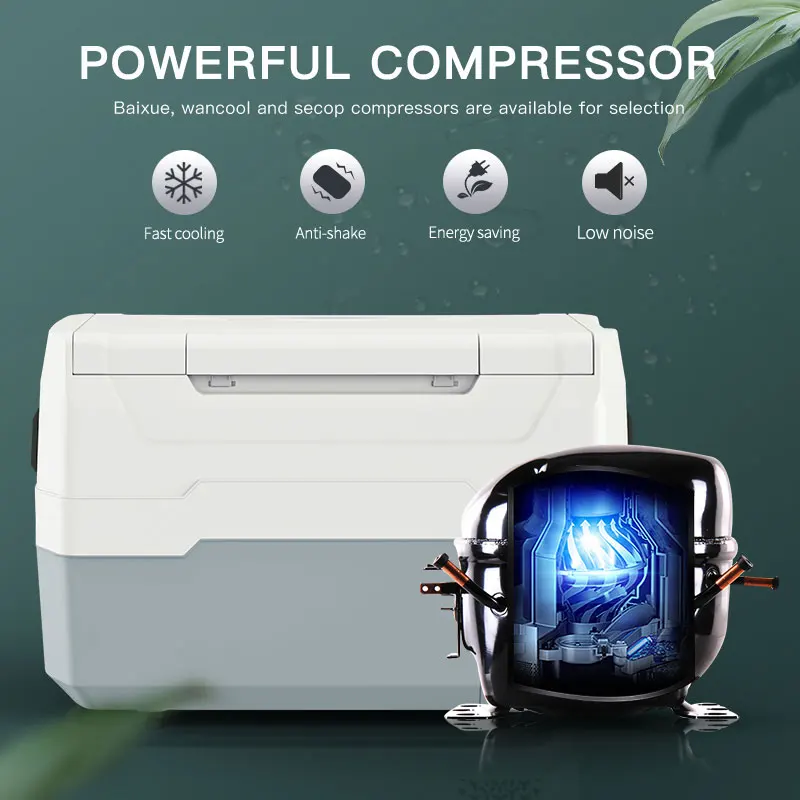WAYCOOL T35 30L 12V/24V AC100~240V Mini Fridge for Car Use Drinks with Compressor and CE CB SAA for Outdoors Activities
