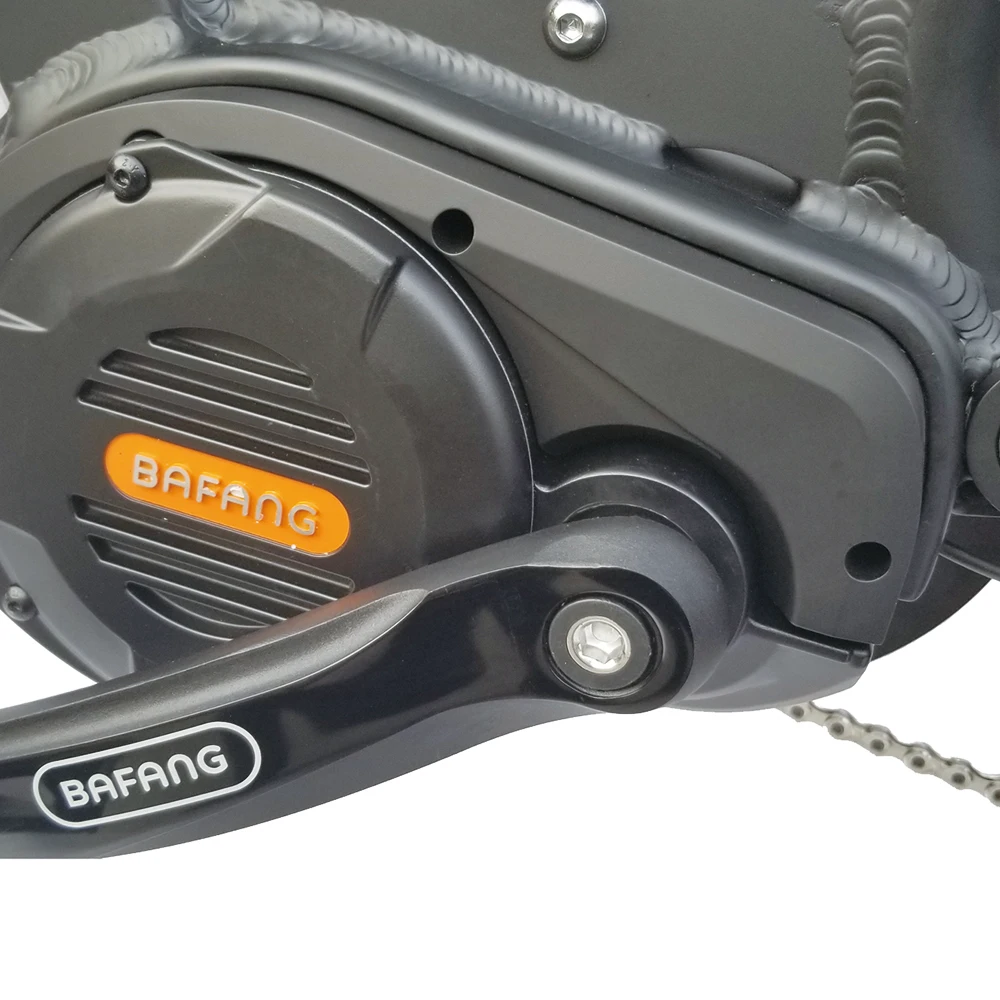 2021 New Design 1000W Bafang Mid Motor Electric Mountain Bike Lithium Battery Ce LCD Display 48V Aluminum Alloy 9 Speed 10.5 AH