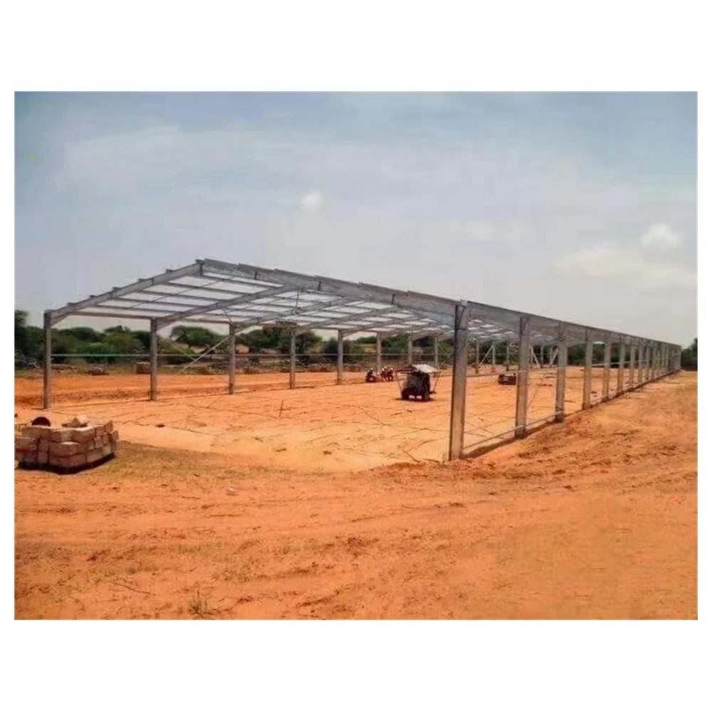 building chicken house poultry farm construction