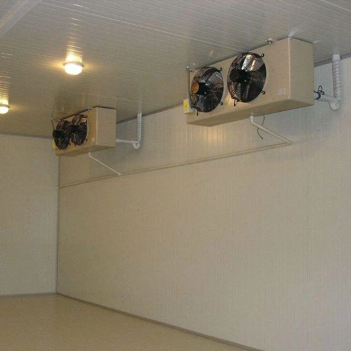 
High performance Emerson unit refrigeration equipment cold room of fruits and vegetables 