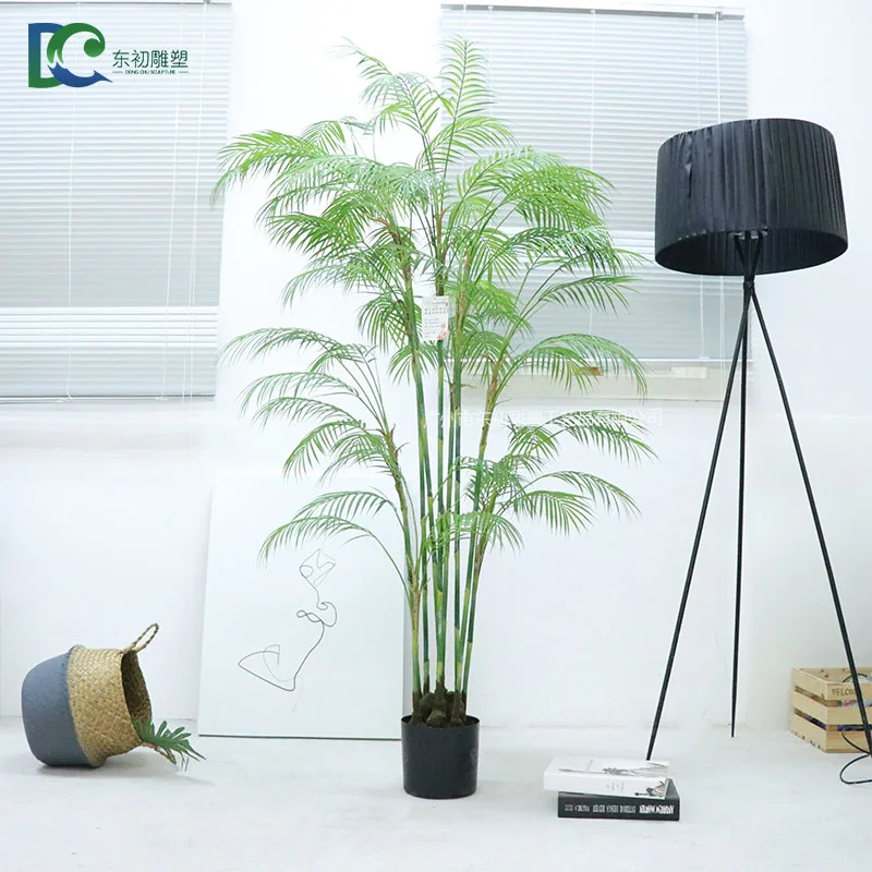 Мини-Гавайская пальма, тропические растения kwai tree bonsai, горячая распродажа