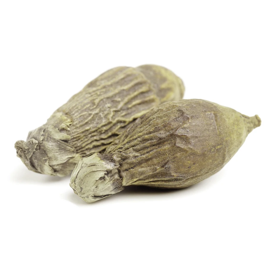 Wholesale nuts buyers betel nut areca catechu dried  areca-nut