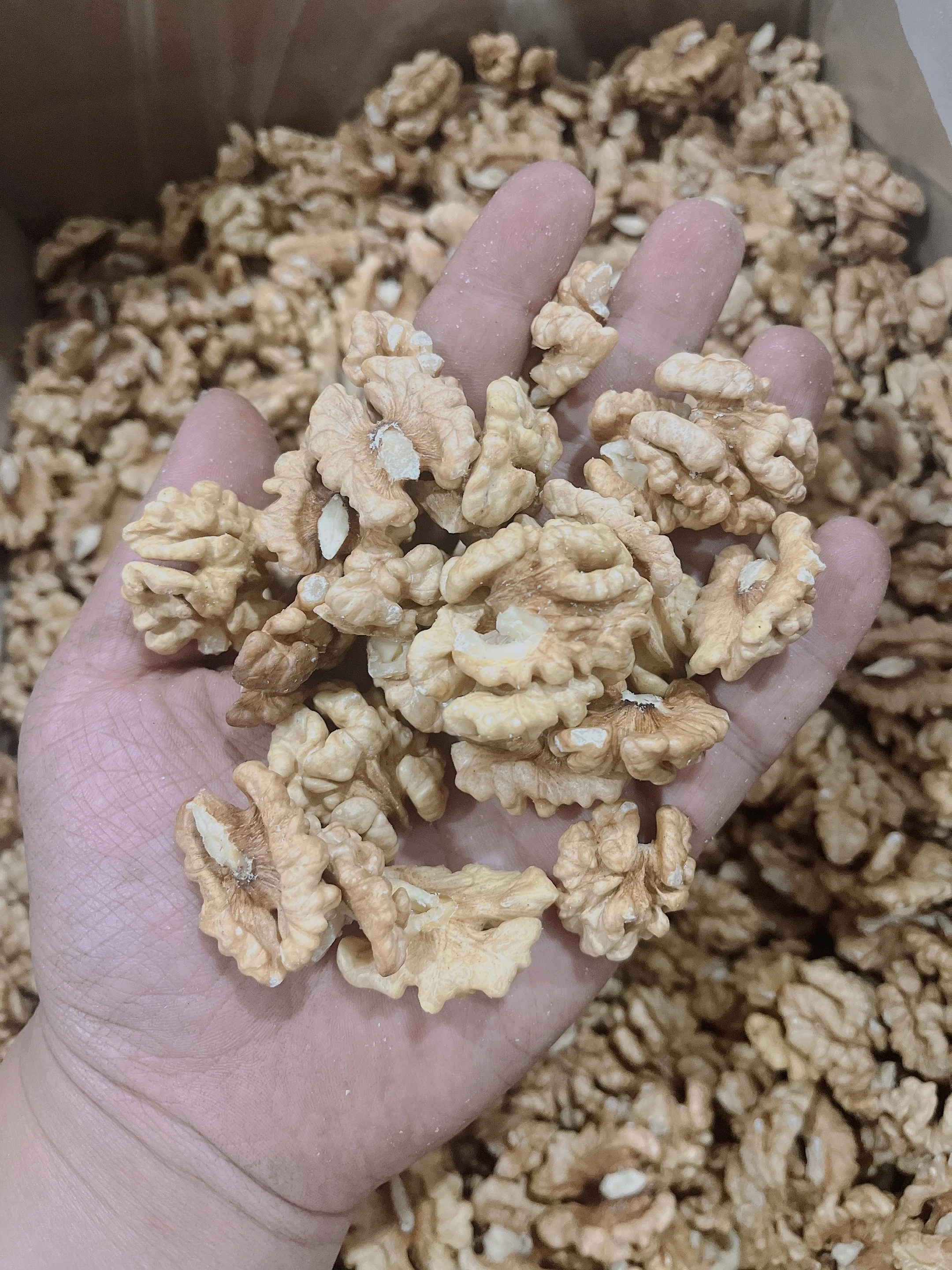 Thin Shell Fresh Delicious Nutrition Chinese Walnut Kernel