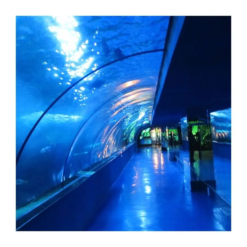 Good Quality Transparent Plexiglass Tunnel, 2020 New Products Big Plexiglass Tunnel