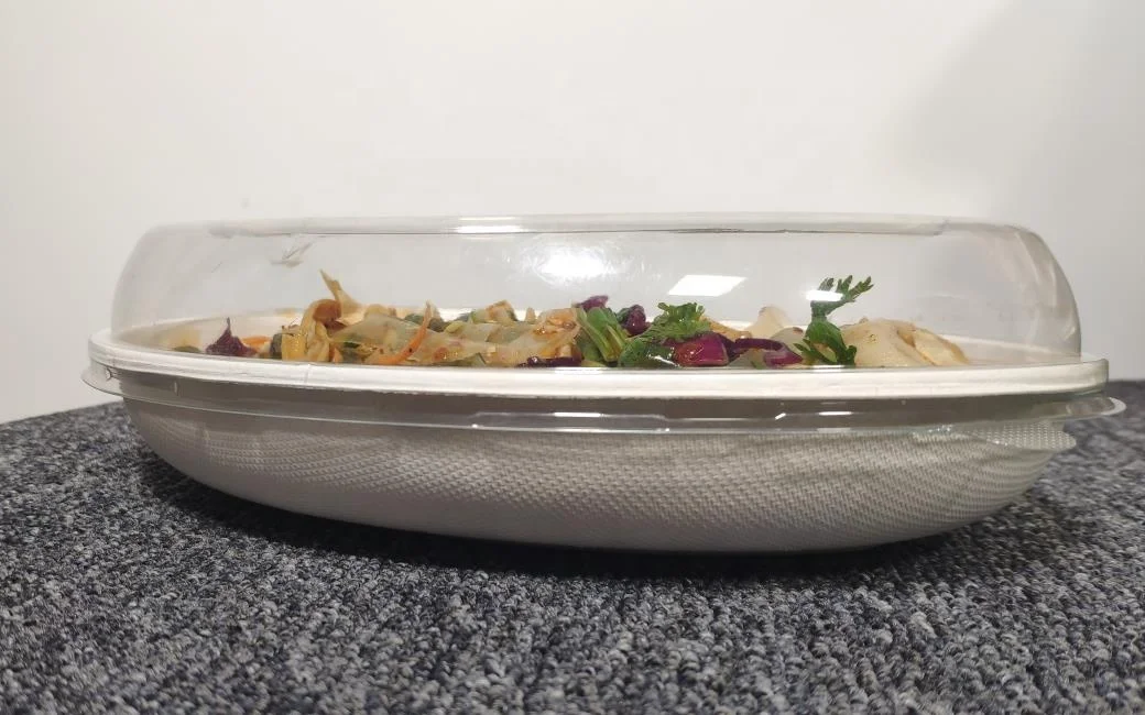 
900ml oval natural disposable salad 24 oz compostable sugarcane Bowl 