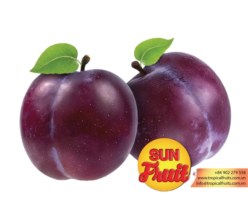 
Wholesale Plum Dried Fruit 