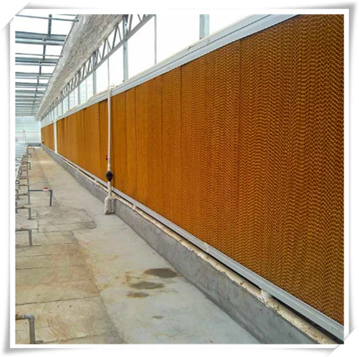 Multi-span glass greenhouse with hot-dip galvanized skeleton aluminum structure and smart control system