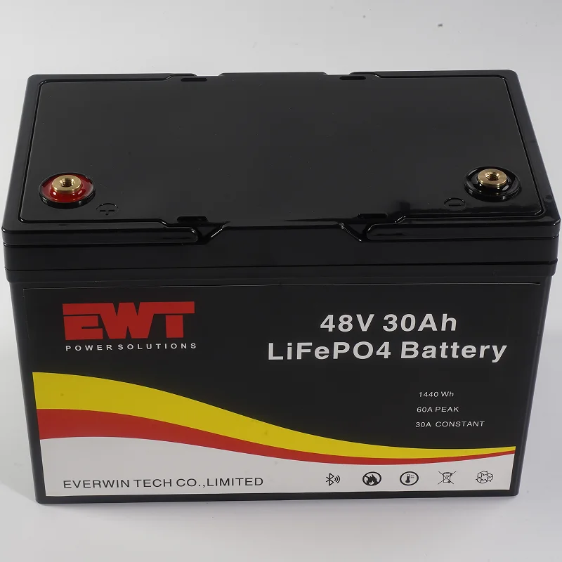 Fast delivery in Stock 48V Lithium Iron Phosphate Battery Pack