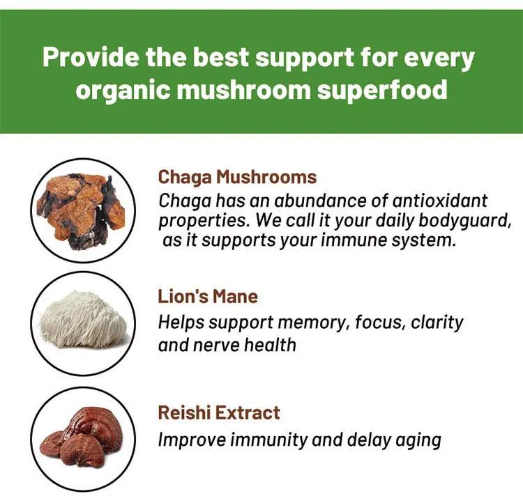 private label mushroom reishi coffee bitter boosts energy mushroom coffee blend powder with private label mellow