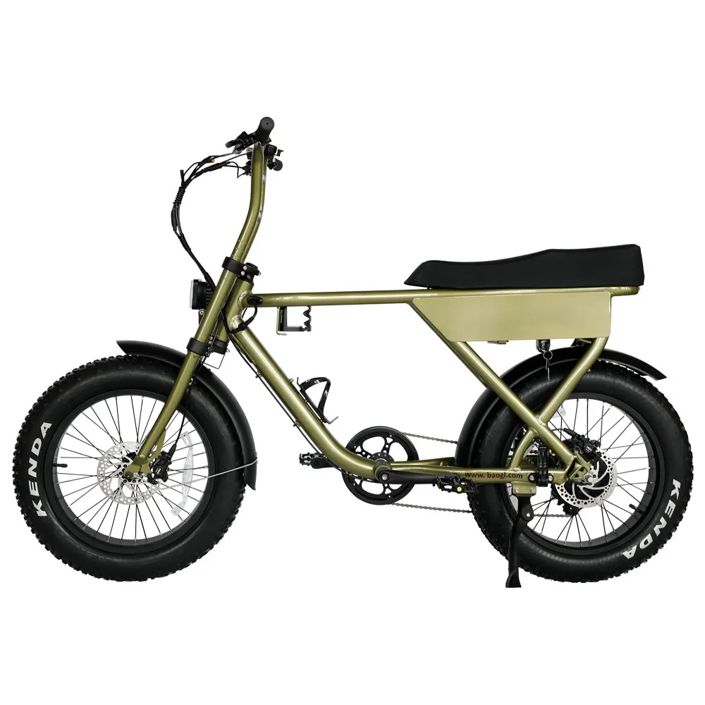 EU Warehouse 20 inch 48V250W motor 7speed long saddle fat tire all terrain vehicle electric bike
