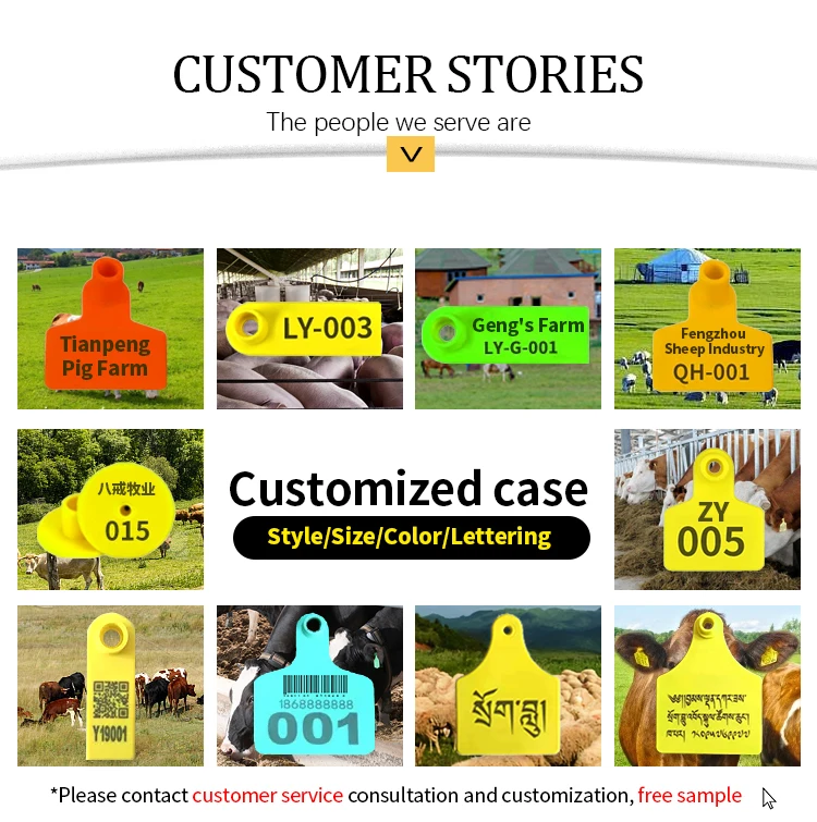 Bohang Wholesale high quality animal cattle ear tags pig sheep cow ear tags Farm Livestock Equipment