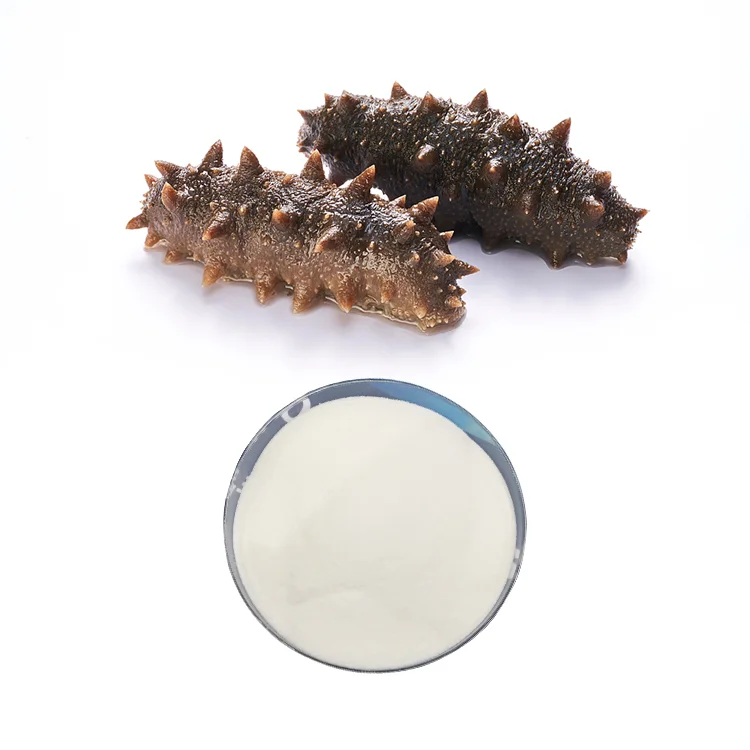 Best Price Sea Cucumber Peptide Extract Powder