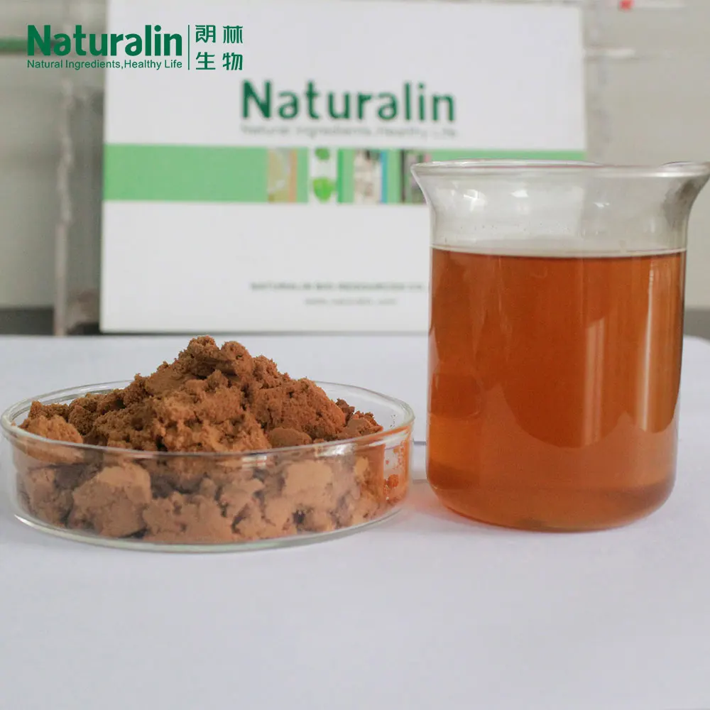 Naturalin Product Natural Extract Ganoderma Lucidum (Leyss ex Fr.) Karst 30% beta glucan kit K-YBGL Ganoderma Lucidum Extract