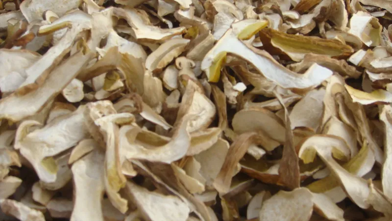 
Detan Dried Sliced Boletus Edulis Market Prices Phlebous Portentosus mushroom 